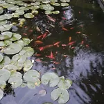 Alojamento de Acomodação e Pequeno-almoço Parfums De Monet *