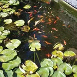 Alojamento de Acomodação e Pequeno-almoço Parfums De Monet